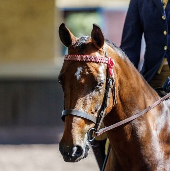 Meet your Posher, Coreen - Picture 1 of 1